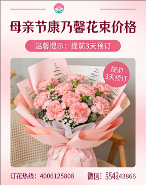 商洛山阳县花店母亲节康乃馨花束