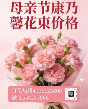 商洛山阳县花店母亲节康乃馨花束